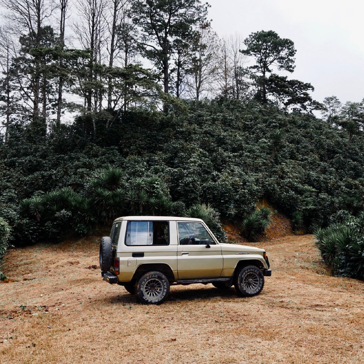 Honduras Finca Cerro Bueno