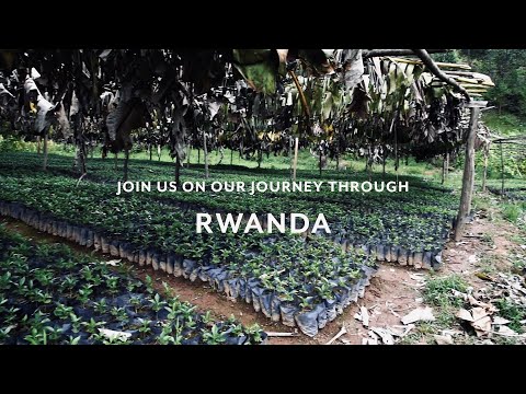 Rwanda Ngoma